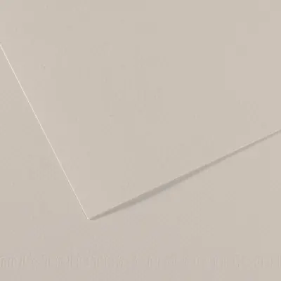 Canson Fon Kartonu (Dokulu) Mı-Teıntes Sh Canmt 50x65 160 GR Grey 120