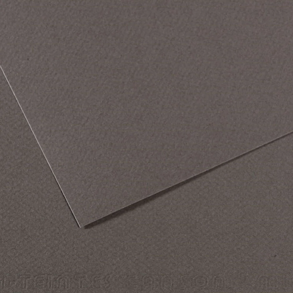 Canson Fon Kartonu (Dokulu) Mı-Teıntes Sh Canmt 50x65 160 GR Grey 345