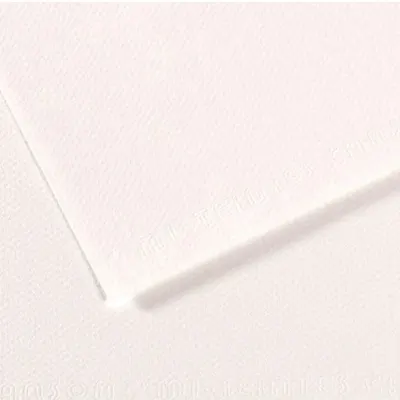 Canson Fon Kartonu (Dokulu) Mı-Teıntes Sh Canmt 50x65 160 GR Whıt 180