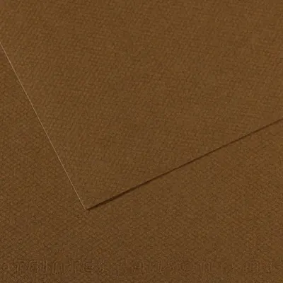 Canson Fon Kartonu (Dokulu) Mı-Teıntes Sh Canmt 50X65 160G Brown 501 31033S122