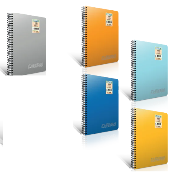 Gıpta Spiralli Defter Chromo Plastik Kapak Çizgili 160 YP A4 1343