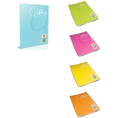 Gıpta Defter (Dikişli ) Mica Plastik Kapak Çizgisiz 60 YP A4 1706