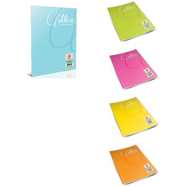 Gıpta Mica Dikişli Defter Plastik Kapak A5 60 YP Çizg