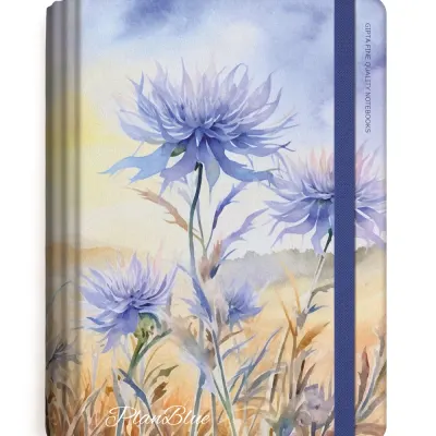 Gıpta Plan Blue Spiralli Sert Kapak Defter 13x21 120yp. Çizgili+Kareli