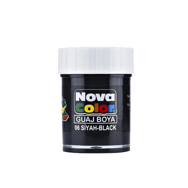 Nova Color Guaj Boya Şişe 12 Lİ Siyah NC-108