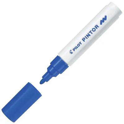 Pilot Pintor (M) Mavi Sw-pt-m-bl