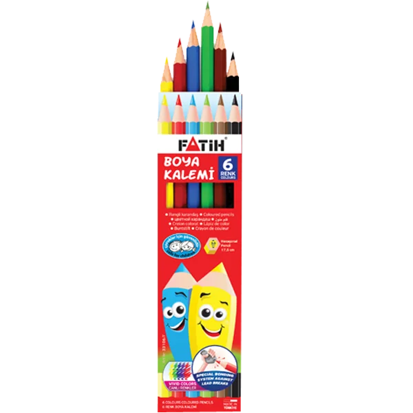 Fatih Kuru Boya Karton Kutu Tam Boy 6 Renk 33106